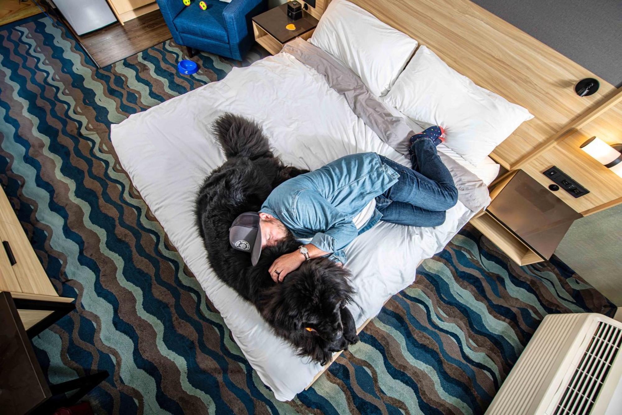 Accent Hotel Burnaby